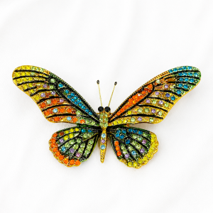 Mariposa Arcoíris